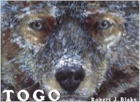 togo